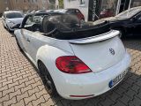 VW New Beetle bei Reisemobile.expert - Abbildung (14 / 15)
