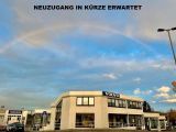 Volvo XC60 bei Reisemobile.expert - Abbildung (15 / 15)