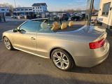 Audi A5 bei Reisemobile.expert - Abbildung (15 / 15)