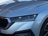 Skoda Octavia bei Reisemobile.expert - Abbildung (5 / 15)