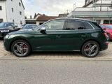 Audi SQ5 bei Reisemobile.expert - Abbildung (7 / 14)