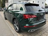 Audi SQ5 bei Reisemobile.expert - Abbildung (6 / 14)