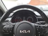 Kia Rio bei Reisemobile.expert - Abbildung (8 / 12)