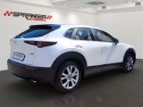 Mazda CX-30 bei Reisemobile.expert - Abbildung (11 / 13)