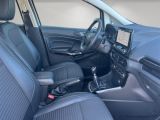 Ford EcoSport bei Reisemobile.expert - Abbildung (14 / 14)