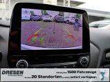 Ford Puma bei Reisemobile.expert - Abbildung (12 / 15)