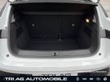 Renault Megane bei Reisemobile.expert - Abbildung (12 / 15)