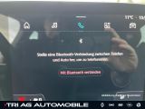 Renault Megane bei Reisemobile.expert - Abbildung (15 / 15)