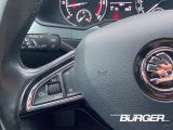 Skoda Superb bei Reisemobile.expert - Abbildung (13 / 15)