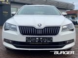 Skoda Superb bei Reisemobile.expert - Abbildung (2 / 15)