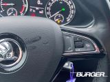 Skoda Superb bei Reisemobile.expert - Abbildung (14 / 15)