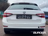 Skoda Superb bei Reisemobile.expert - Abbildung (5 / 15)