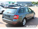 Skoda Octavia bei Reisemobile.expert - Abbildung (5 / 15)