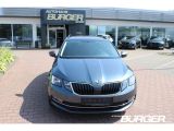 Skoda Octavia bei Reisemobile.expert - Abbildung (3 / 15)