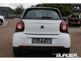 Smart smart forfour bei Reisemobile.expert - Abbildung (6 / 15)