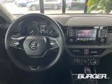 Skoda Scala bei Reisemobile.expert - Abbildung (15 / 15)