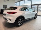 Kia XCeed bei Reisemobile.expert - Abbildung (6 / 15)