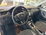 Skoda Octavia bei Reisemobile.expert - Abbildung (14 / 15)