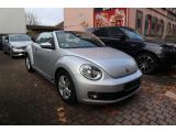 VW Beetle bei Reisemobile.expert - Abbildung (15 / 15)