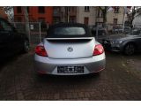 VW Beetle bei Reisemobile.expert - Abbildung (5 / 15)