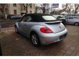 VW Beetle bei Reisemobile.expert - Abbildung (7 / 15)