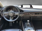 Mazda CX-30 bei Reisemobile.expert - Abbildung (13 / 15)