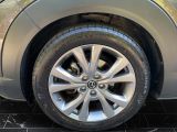 Mazda CX-30 bei Reisemobile.expert - Abbildung (15 / 15)