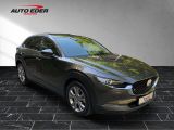 Mazda CX-30 bei Reisemobile.expert - Abbildung (5 / 15)