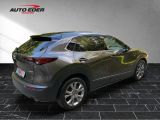 Mazda CX-30 bei Reisemobile.expert - Abbildung (4 / 15)