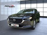 Mazda CX-30 bei Reisemobile.expert - Abbildung (2 / 15)