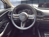 Mazda CX-30 bei Reisemobile.expert - Abbildung (13 / 15)