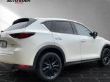 Mazda CX 5 bei Reisemobile.expert - Abbildung (4 / 15)