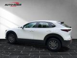 Mazda CX-30 bei Reisemobile.expert - Abbildung (3 / 15)