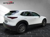 Mazda CX-30 bei Reisemobile.expert - Abbildung (4 / 15)