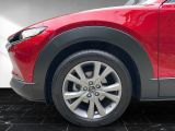 Mazda CX-30 bei Reisemobile.expert - Abbildung (15 / 15)