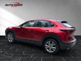 Mazda CX-30 bei Reisemobile.expert - Abbildung (3 / 15)