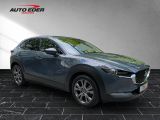 Mazda CX-30 bei Reisemobile.expert - Abbildung (5 / 15)