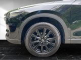 Mazda CX 5 bei Reisemobile.expert - Abbildung (15 / 15)