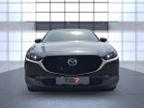Mazda CX-30 bei Reisemobile.expert - Abbildung (7 / 15)