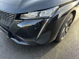 Peugeot 308 bei Reisemobile.expert - Abbildung (10 / 14)