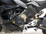 Ducati V4 S bei Reisemobile.expert - Abbildung (13 / 15)