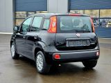 Fiat Panda bei Reisemobile.expert - Abbildung (2 / 15)
