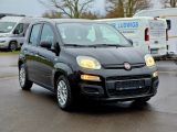 Fiat Panda bei Reisemobile.expert - Abbildung (4 / 15)