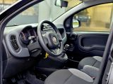 Fiat Panda bei Reisemobile.expert - Abbildung (6 / 15)