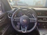 Alfa Romeo Stelvio bei Reisemobile.expert - Abbildung (6 / 15)