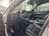 Alfa Romeo Stelvio bei Reisemobile.expert - Abbildung (14 / 15)