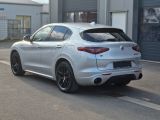 Alfa Romeo Stelvio bei Reisemobile.expert - Abbildung (2 / 15)