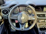 Alfa Romeo Stelvio bei Reisemobile.expert - Abbildung (15 / 15)