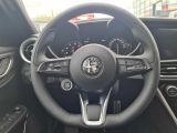 Alfa Romeo Giulia bei Reisemobile.expert - Abbildung (13 / 15)