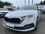 Skoda Octavia bei Reisemobile.expert - Abbildung (4 / 15)